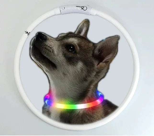 Hondenhalsband LED Lichtgevende Oplaadbaar 0