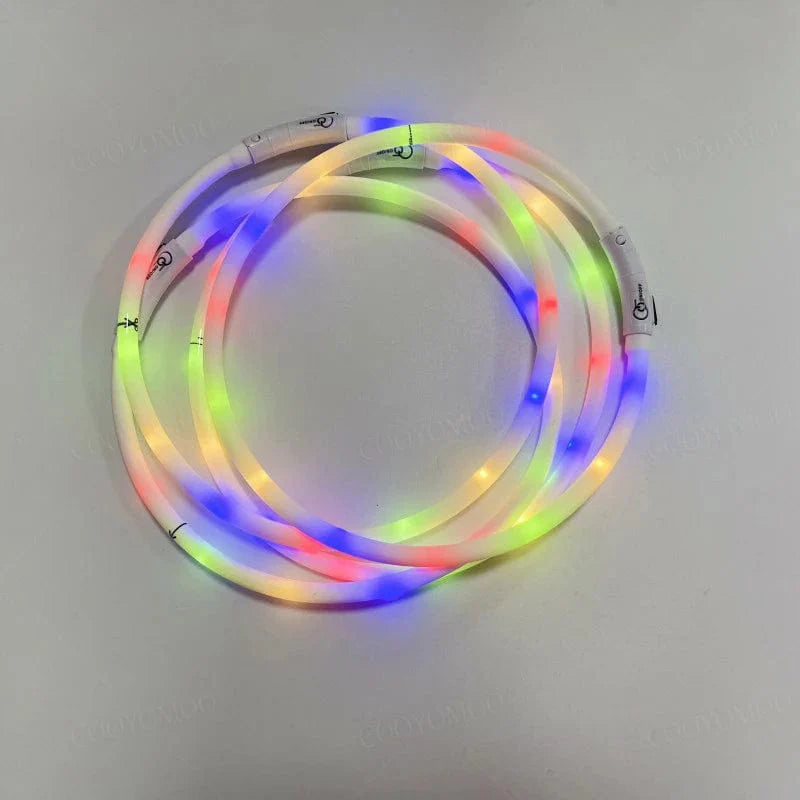 Hondenhalsband LED Lichtgevende Oplaadbaar 2