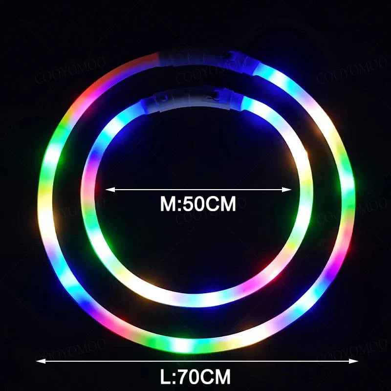 Hondenhalsband LED Lichtgevende Oplaadbaar 5