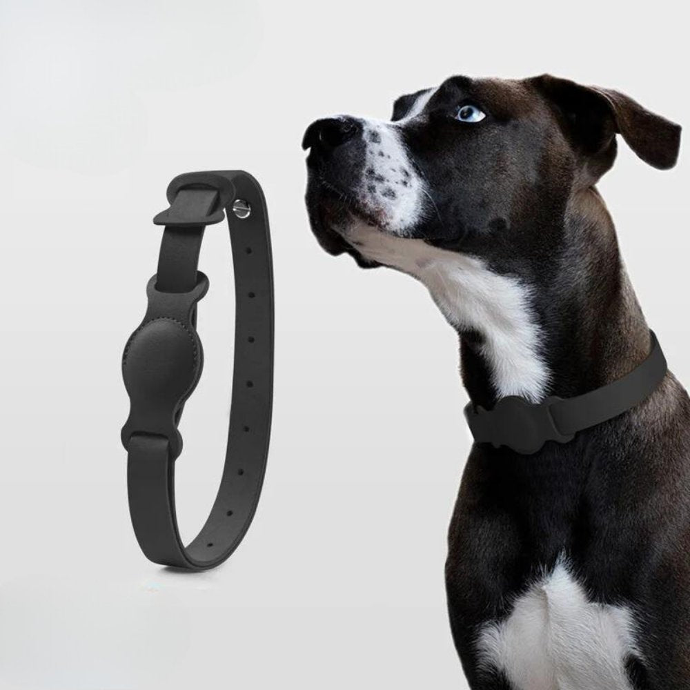 Hondenhalsband met AirTag Bevestiging 0