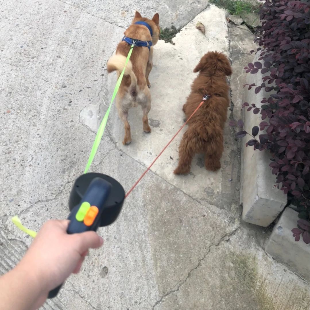 Hondenriem Voor Twee Honden Uittrekbaar Met Zaklamp 360-Graden Ontwarrend Mechanisme 5