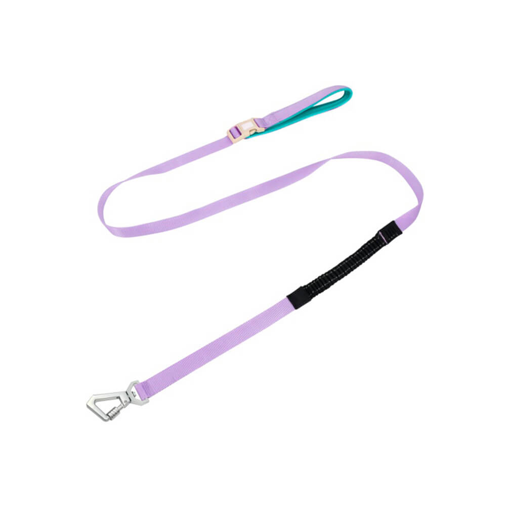 Hondentuig met Multifunctionele Riem voor Comfortabele Wandeling 9