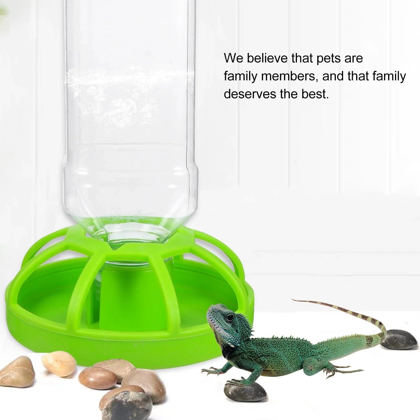 Huisdieren Watercontainer voor Reptielen en Kikkers Praktisch en Stabiliteitsontwerp 2