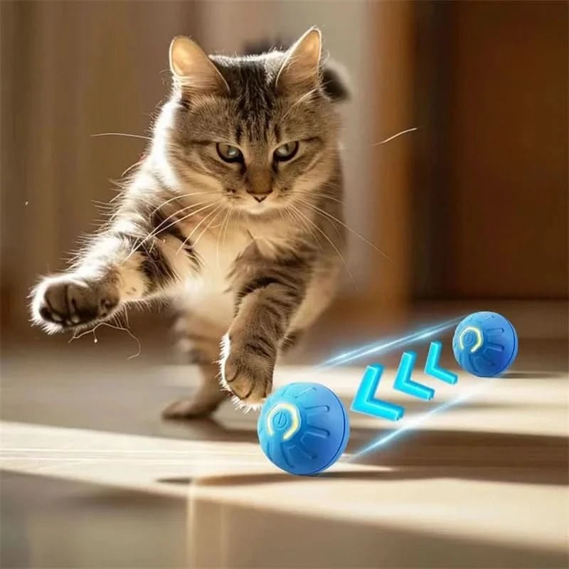 Interactieve Hondenbal met Automatische Beweging voor Actieve Honden 2