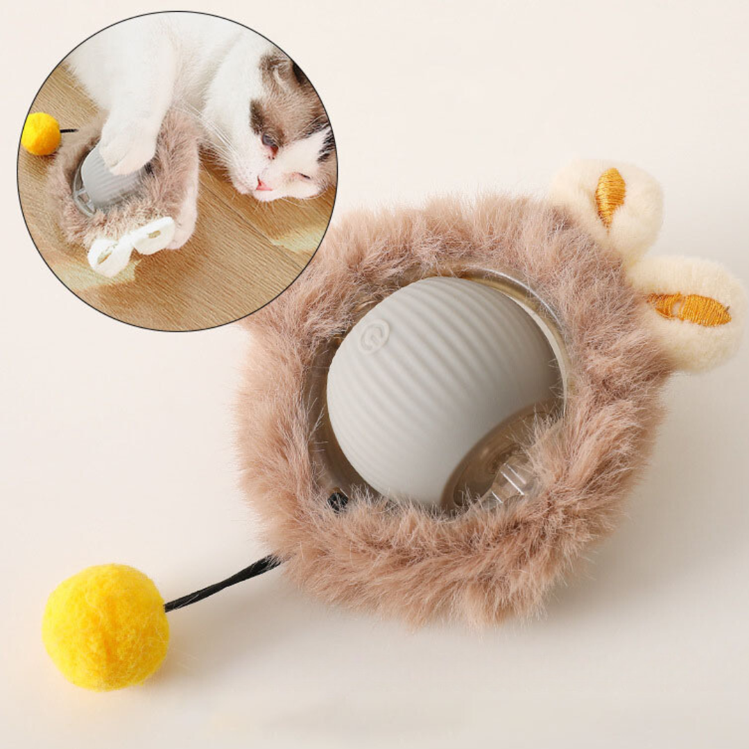 Interactieve Speelbal voor Katten 0