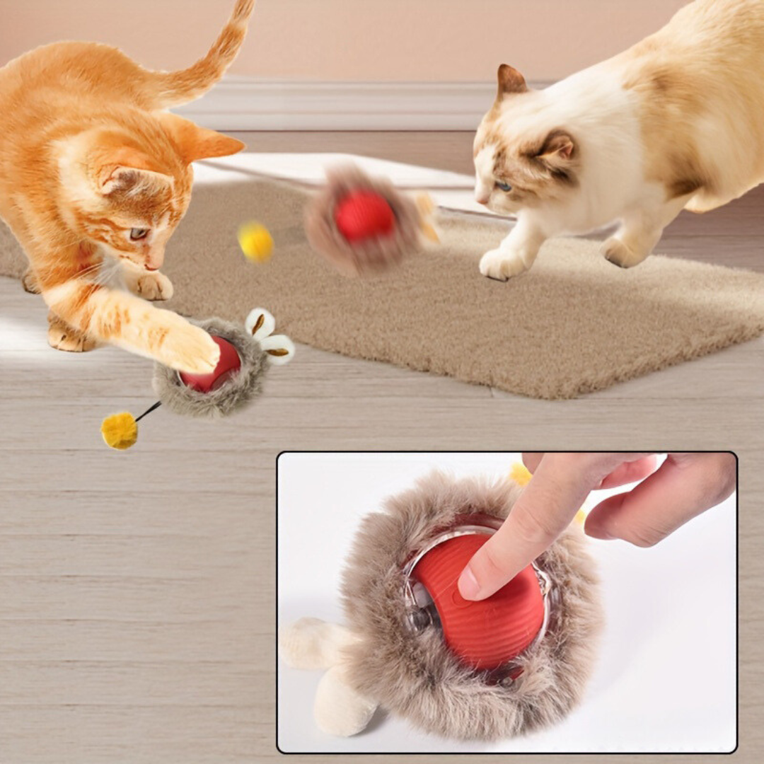 Interactieve Speelbal voor Katten 1