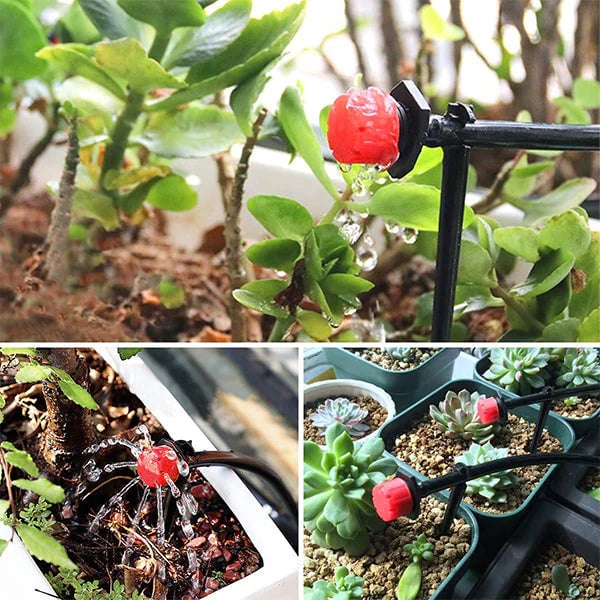 Irrigatiesysteem voor Planten met Druppelaars 1