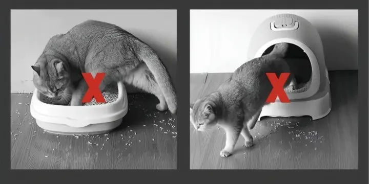 Kattenbakmat Antislip Groot Waterdicht 3