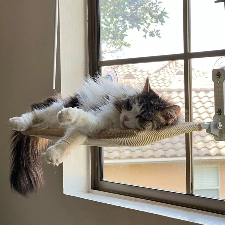 Kattenhangmat voor Raam met Ruimtebesparend Ontwerp 2