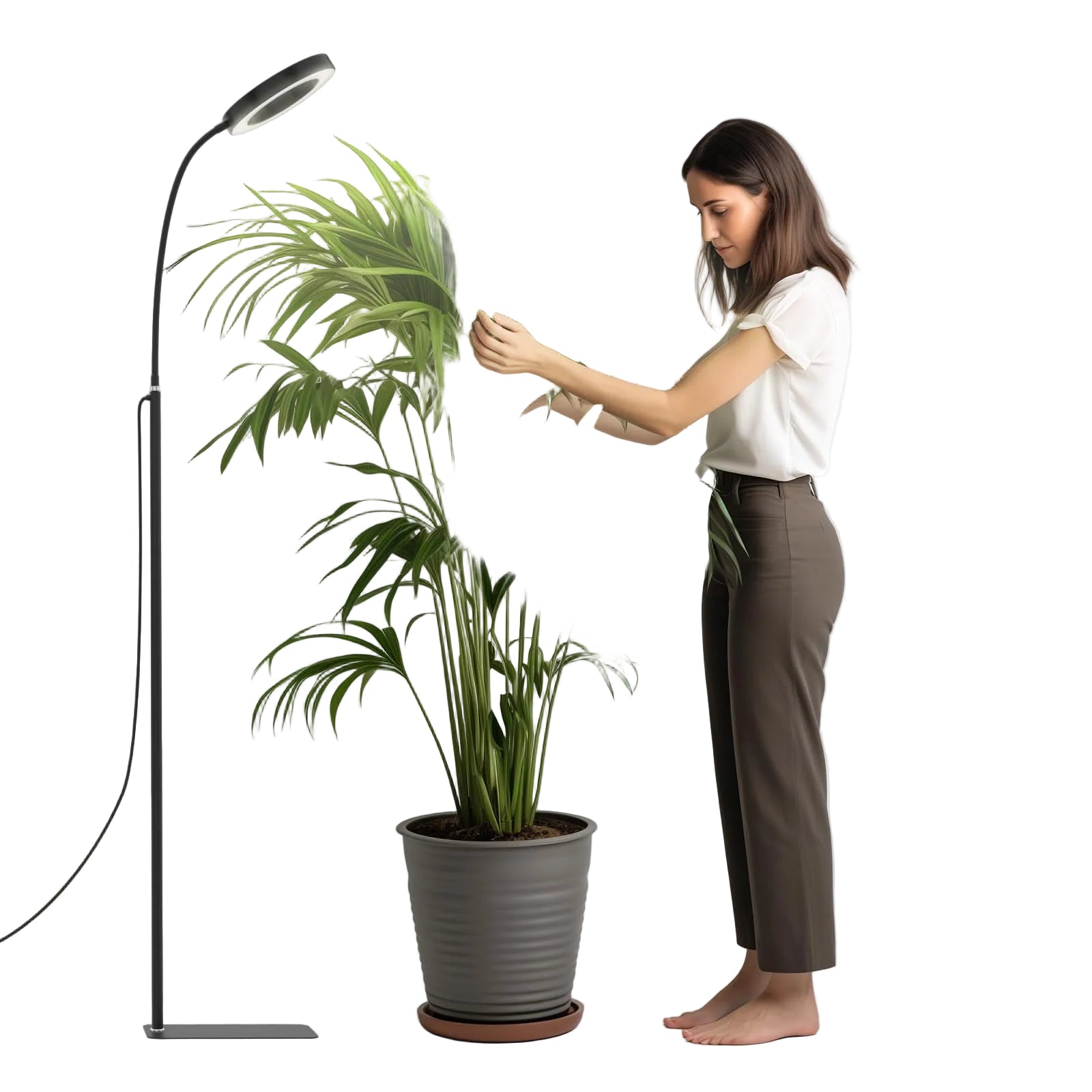 Kweeklamp Voor Planten Met Automatische Timer En Volledig Spectrum Groeilamp 0