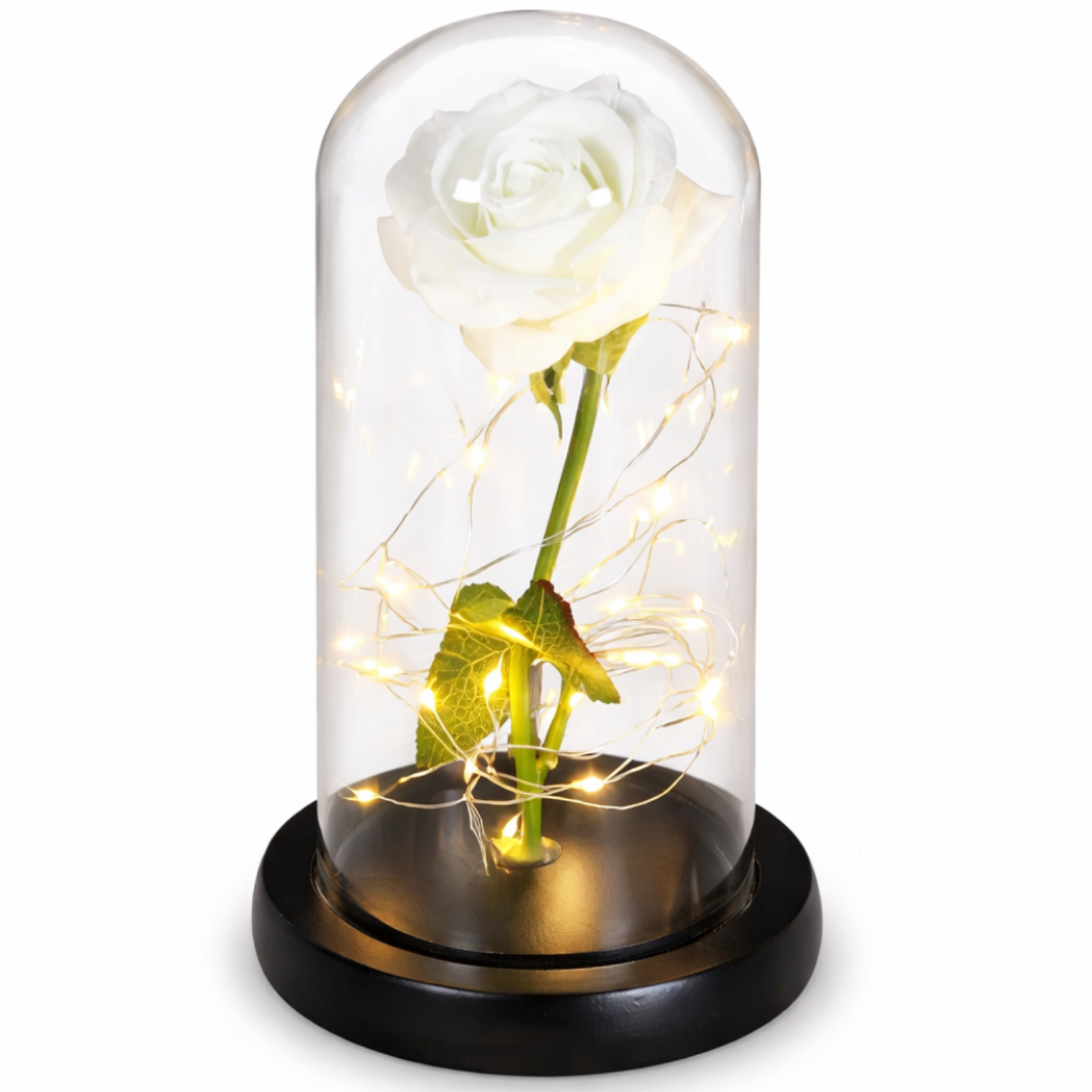 LED Eeuwige Roos 1