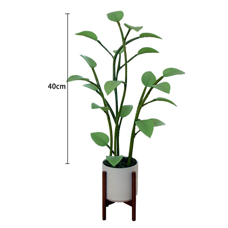 LED Plant Lamp Met Kleurovergang Decoratief Design 2