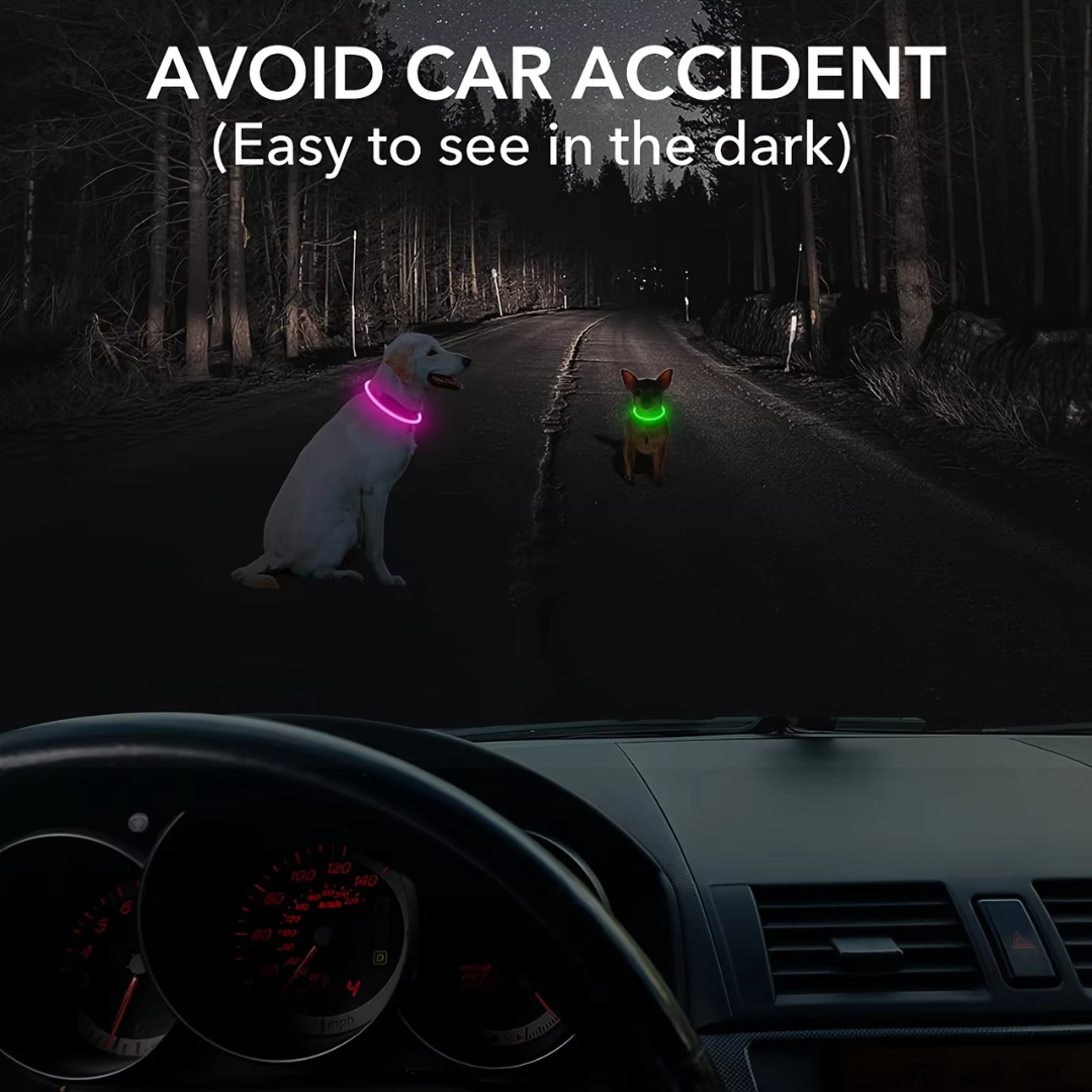 Lichtgevende Hondenhalsband Oplaadbaar Verstelbaar voor Veiligheid en Zichtbaarheid 5
