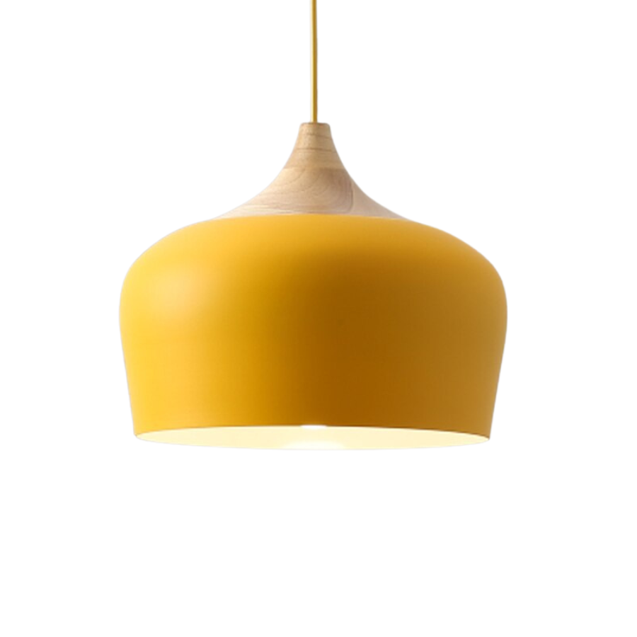 Minimalistische Hanglamp Met Pastel Koepel 12