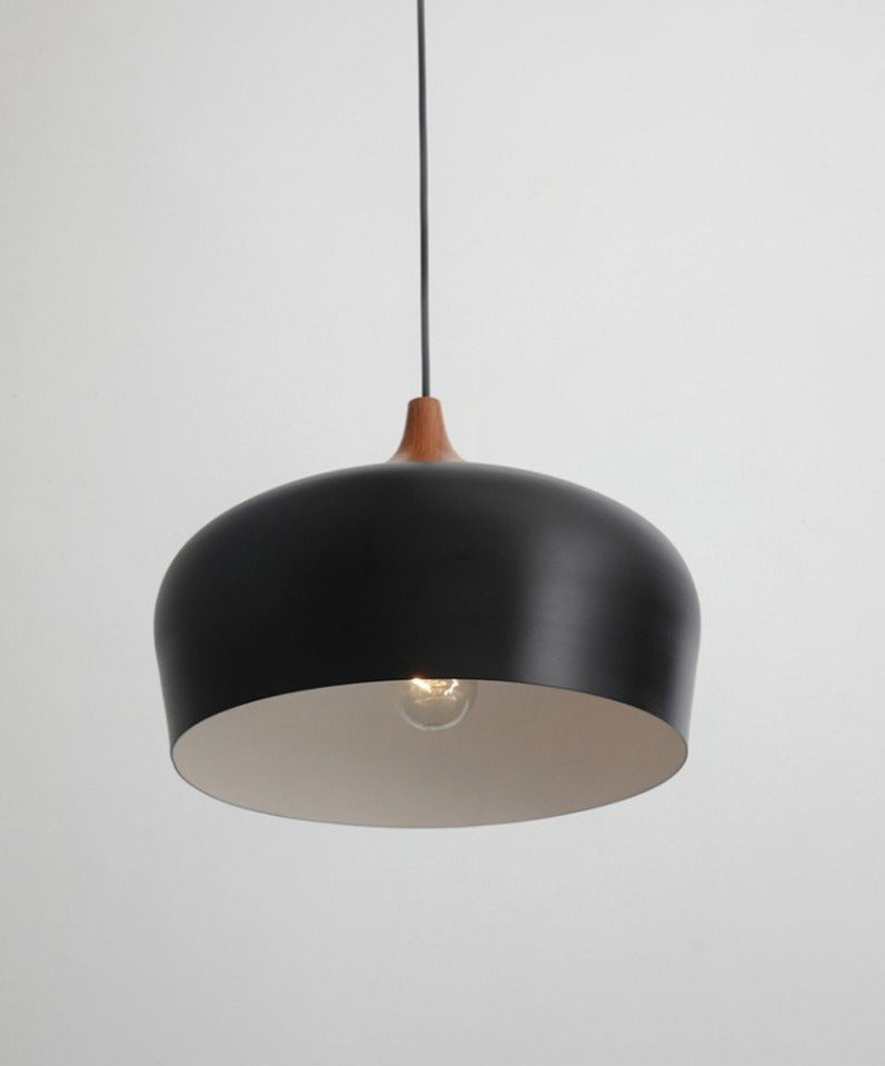 Minimalistische Hanglamp Met Pastel Koepel 4