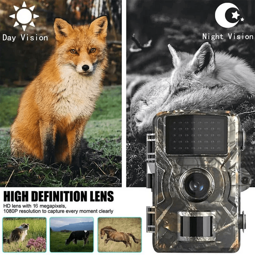 Nachtzicht Wildcamera 12 MP met HD-video 1