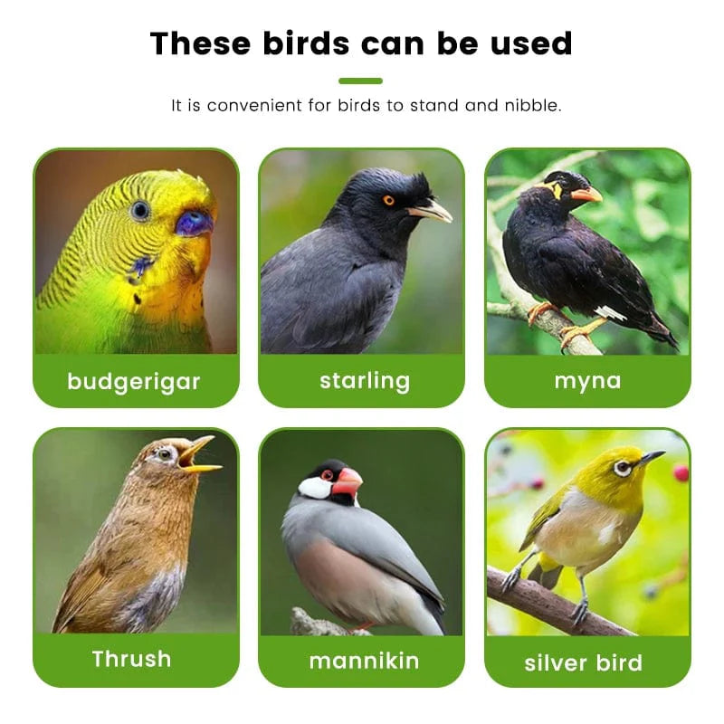 Papegaaien Voeder Feeder Voor Vogelkooi Compact Ontwerp 2