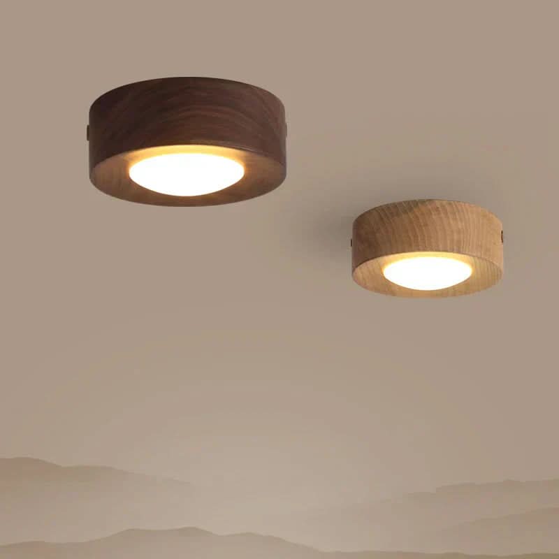 Plafondlamp voor Woonkamer met Natuurlijke Charm 0