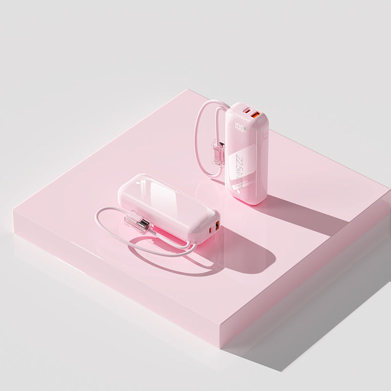 Powerbank 20000 mAh met Dubbele USB-poorten voor iPhone en Mobiele Apparaten 4