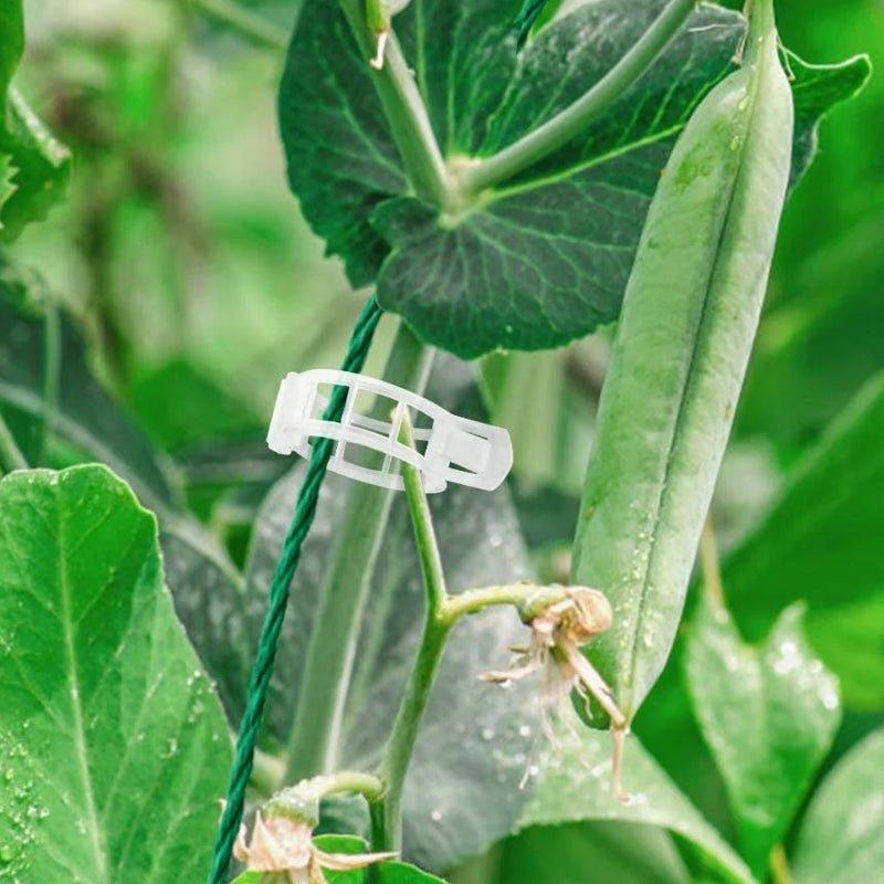 Tuinaccessoires Stangstabilisatoren voor Klimplanten 6
