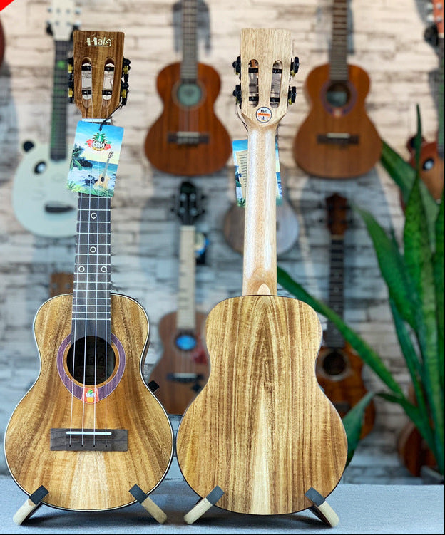 Unisex Ukelele Compact Model 23-inch 1