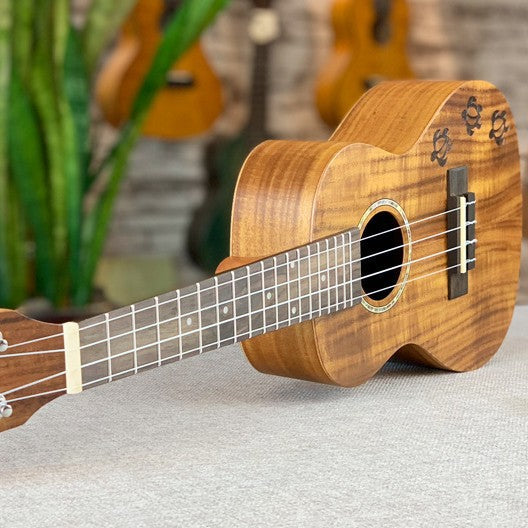 Unisex Ukelele Compact Model 23 Inch Exotisch Design 2
