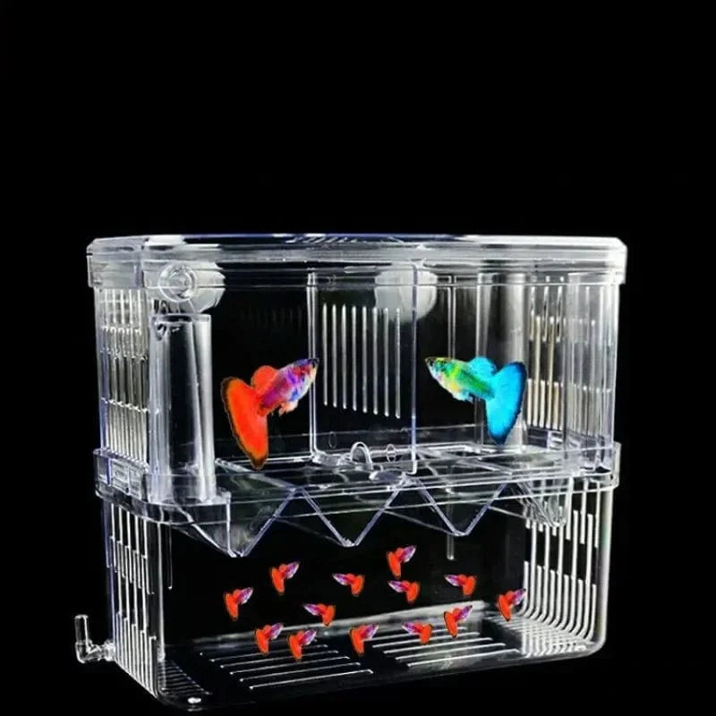 Viskweekbox Dubbellaags Transparant voor Aquaria 2