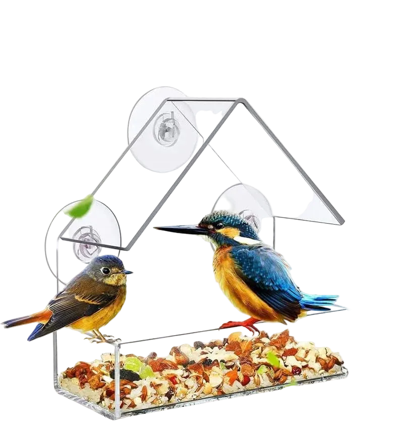 Vogelvoederhuis voor Raam met Zuignappen en Afneembare Kom