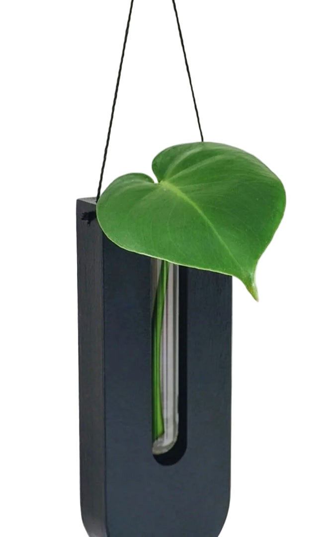 Wand Bloemenhouders Set voor Kamerplanten Rustiek Design 3