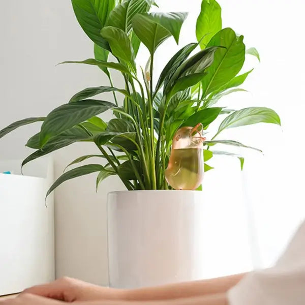 Vogelvormige Automatische Druppelbevloeier