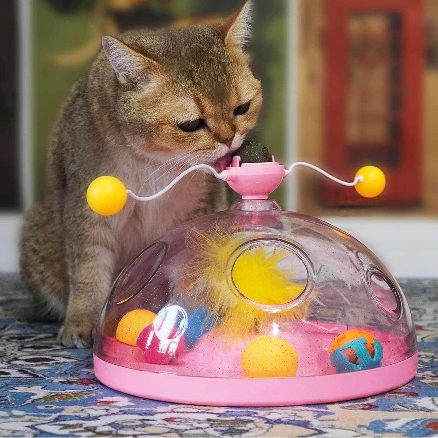 Windmolen Interactief Kattenspeelgoed