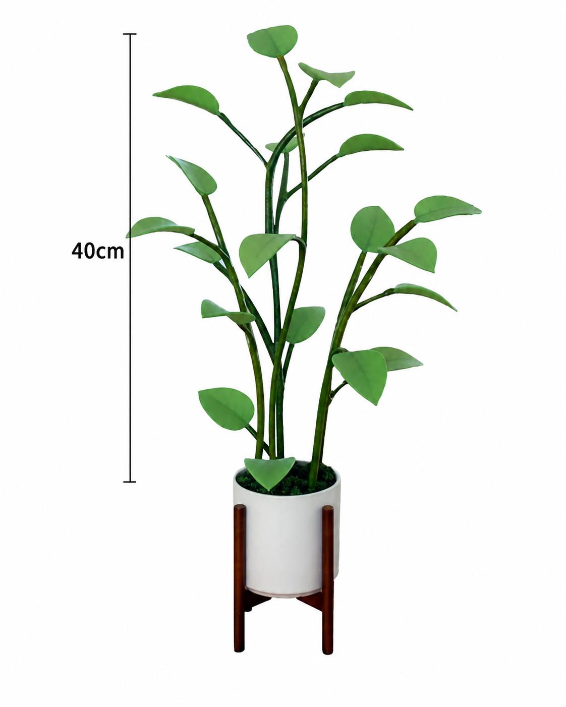 LED Plant Lamp Met Kleurovergang Decoratief Design