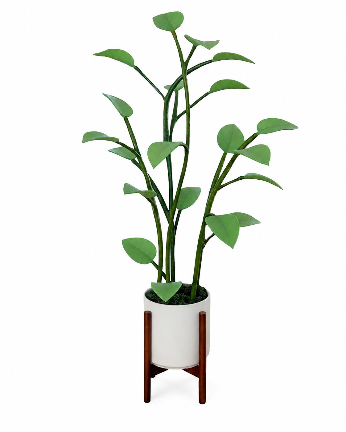 LED Plant Lamp Met Kleurovergang Decoratief Design