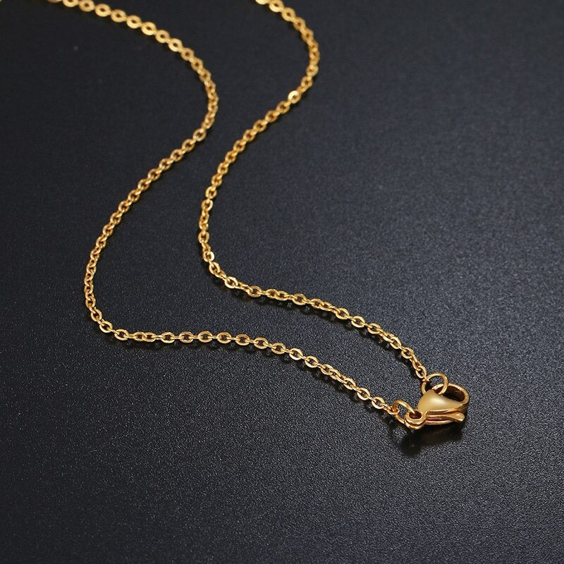 Roestvrij staal Ketting Ketting