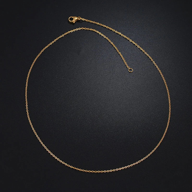 Roestvrij staal Ketting Ketting