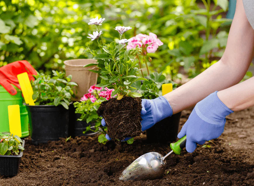 Oplossing voor plantenvoedingsmiddelen