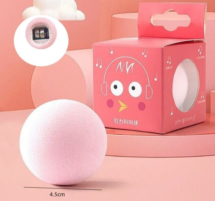 Huisdier Zwaartekracht Bal