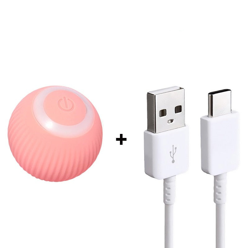 Huisdier Zwaartekracht Bal