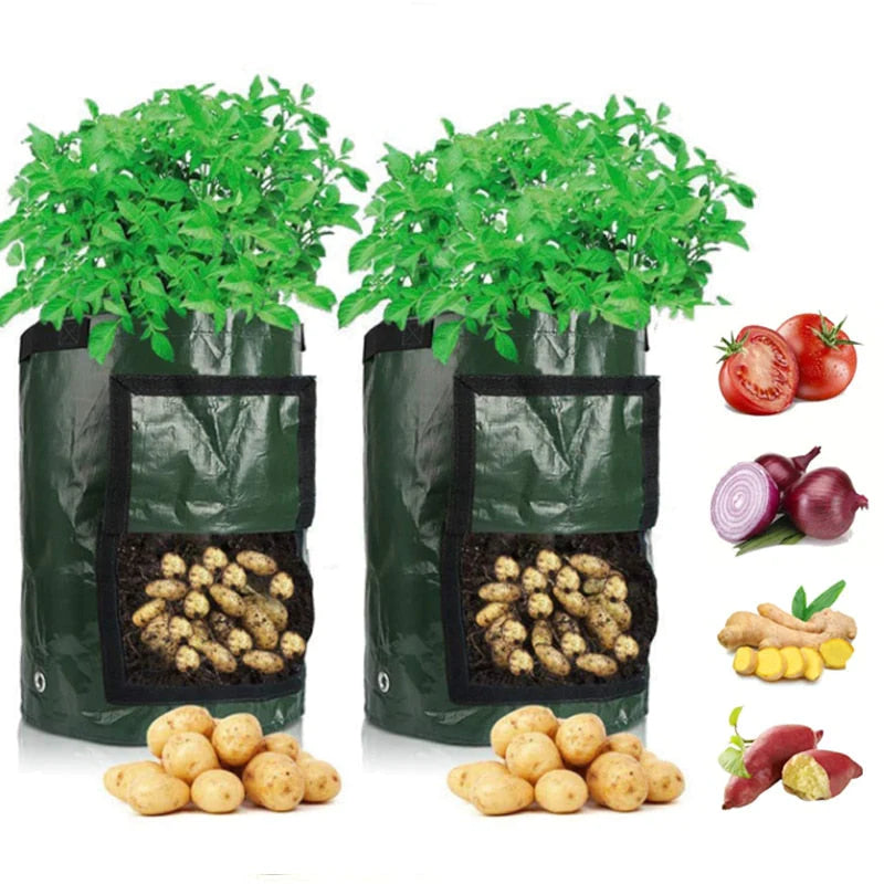 Aardappel Groeiende Zak