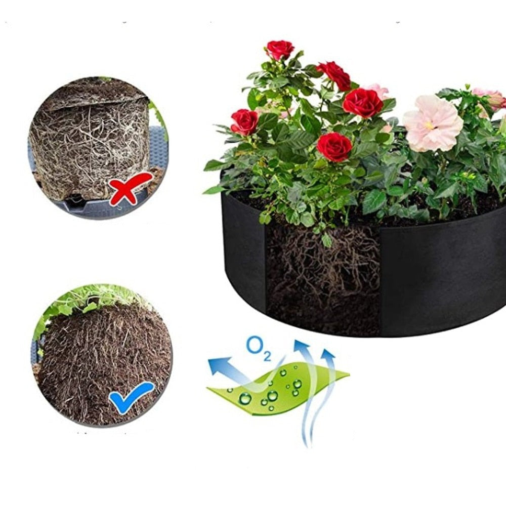 Draagbare Groei Tassen Belleza