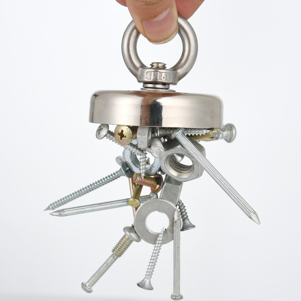 Vis magneet