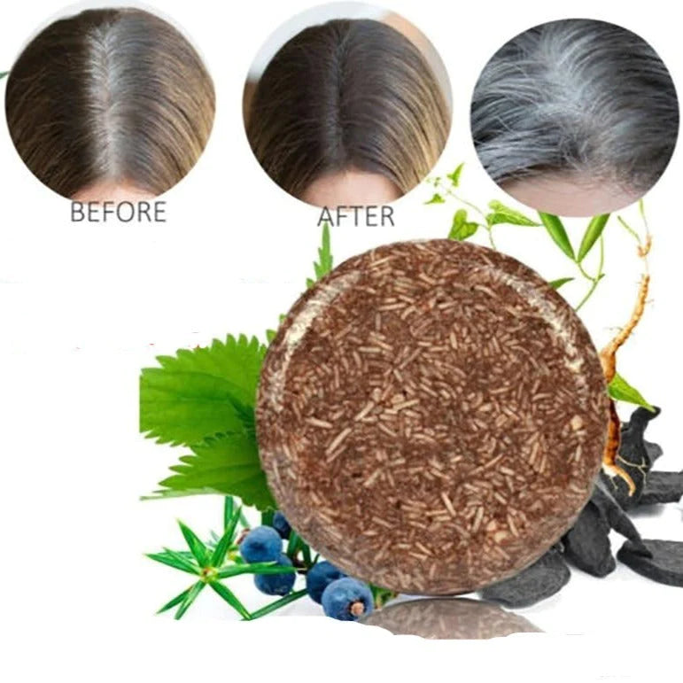 Biologische Haarverduistering Shampoo | 1+1 GRATIS