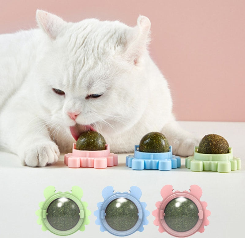 Draaiende Krab Kattenkruidbal
