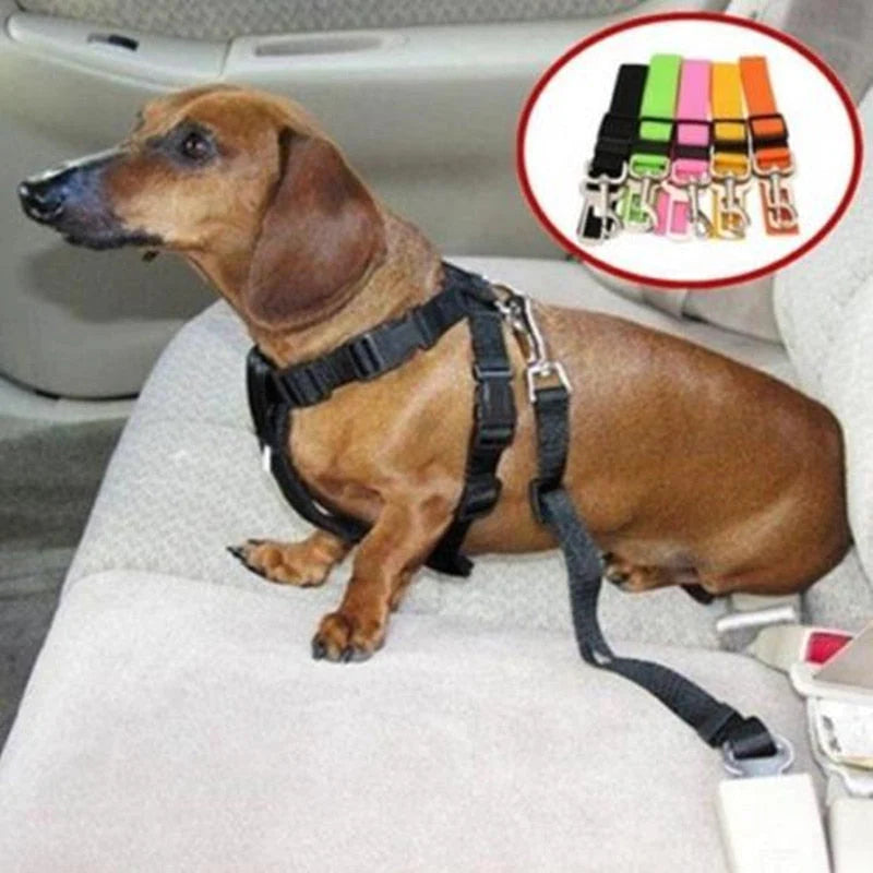 Hond Auto Veiligheidsgordel