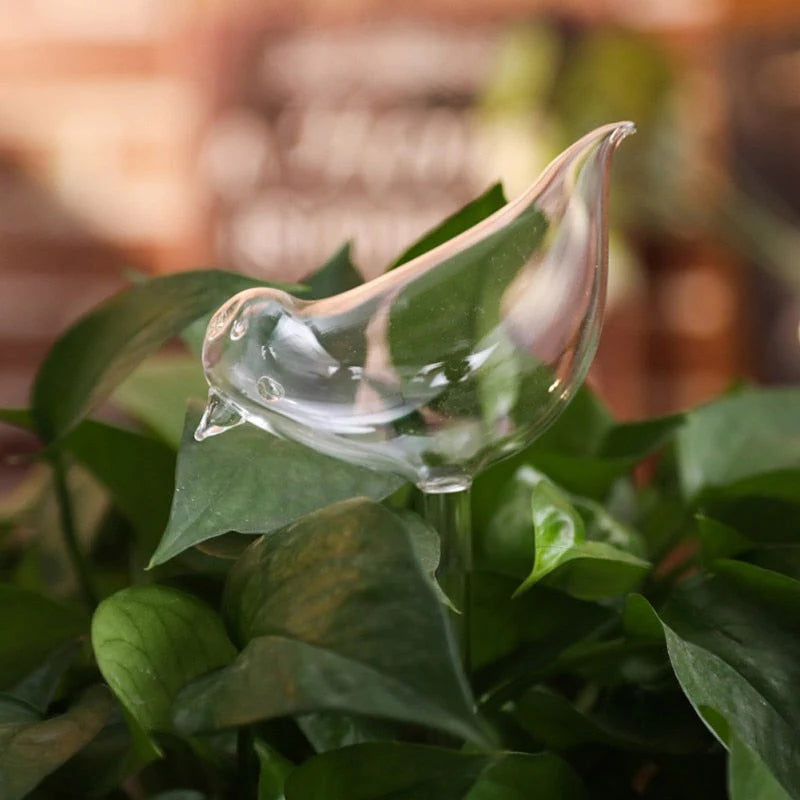 Zelf-drenkende Plantenbol