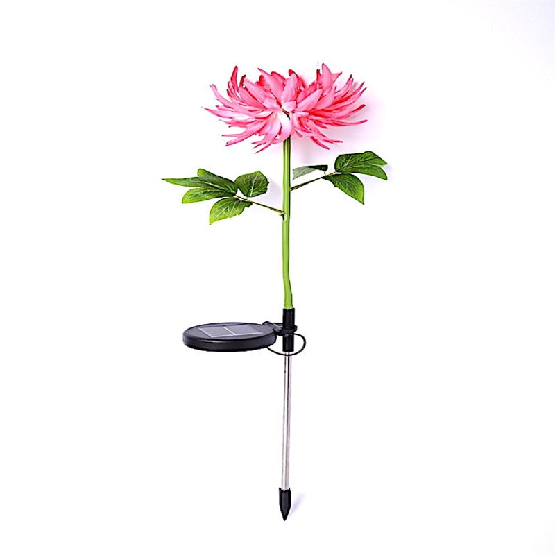 Chrysanthemum LED Zonne Licht Belleza