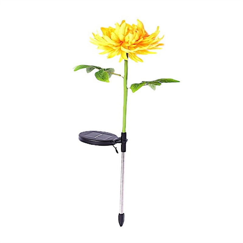 Chrysanthemum LED Zonne Licht Belleza