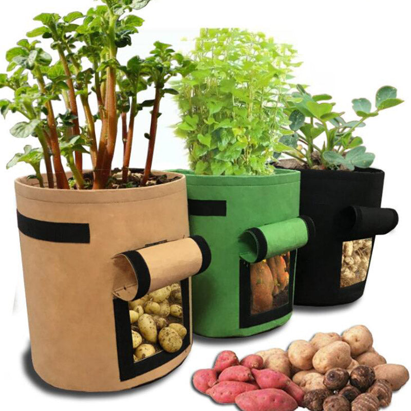 Planten Groeizak