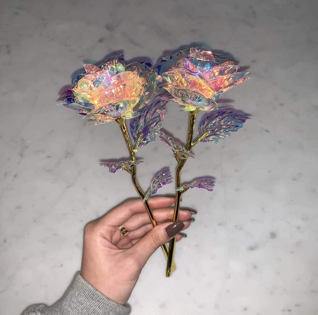 Enchanti Galaxy LED Rose