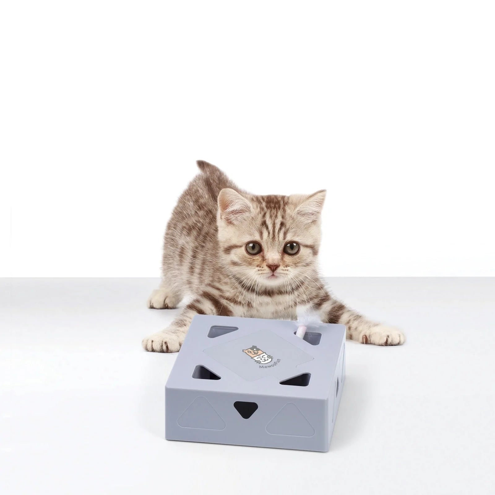 Automatisch Kattenspeelgoed Veer